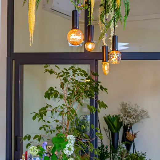 Interiorul atelierului EVEMA Florart, cu plante agățate și lămpi calde