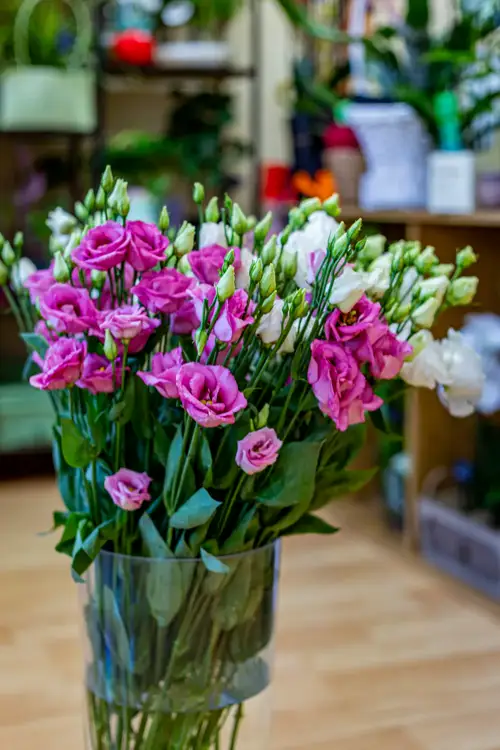 Lisianthus roz și alb într-o vază de sticlă