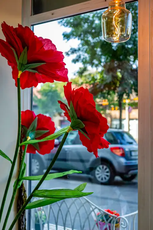 Flori roșii decorative lângă vitrina dinspre stradă