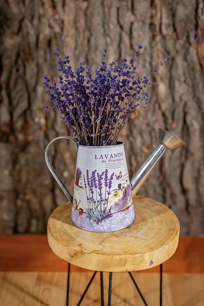 Strop de Provence